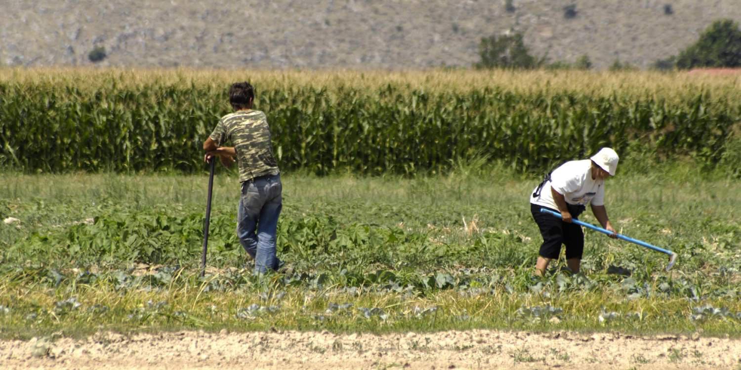 Αυξήσεις σοκ στις εισφορές 625.000 χιλιάδων αγροτών