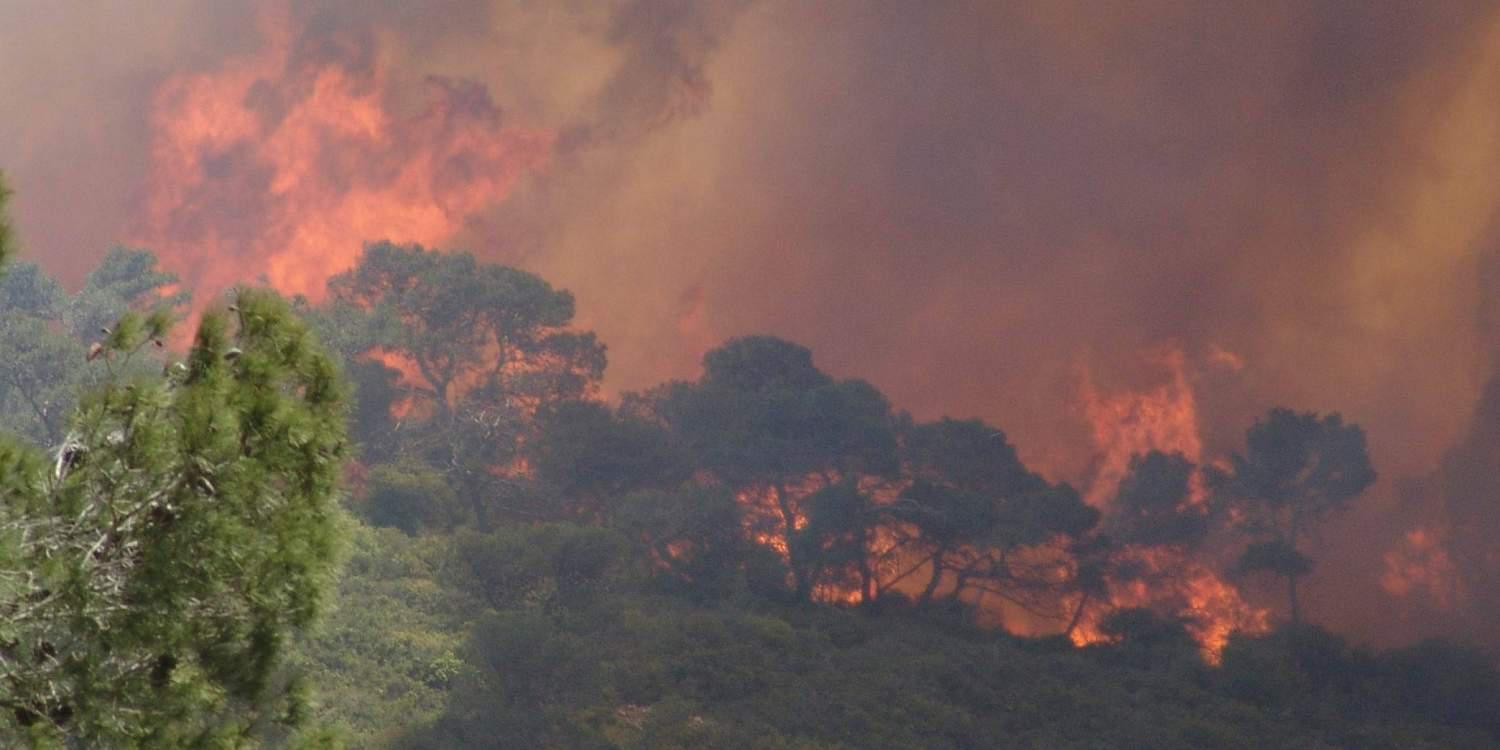 Το Ισραήλ ευχαριστεί την Ελλάδα για την βοήθειά της στην κατάσβεση των πυρκαγιών