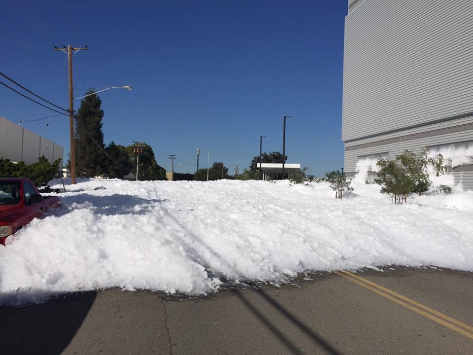 kalifornia-dromi-afros-1300