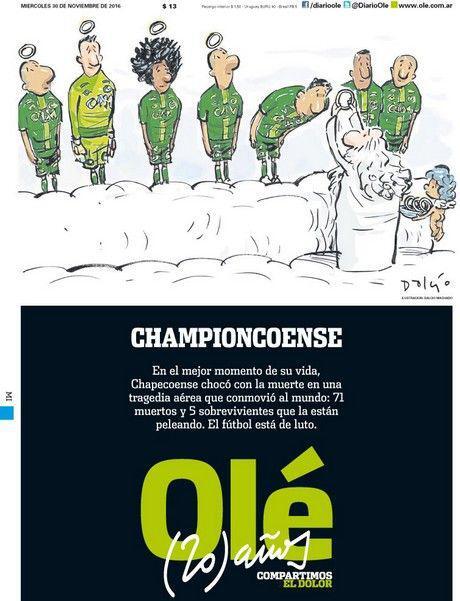 protoselida-chapekoense-4