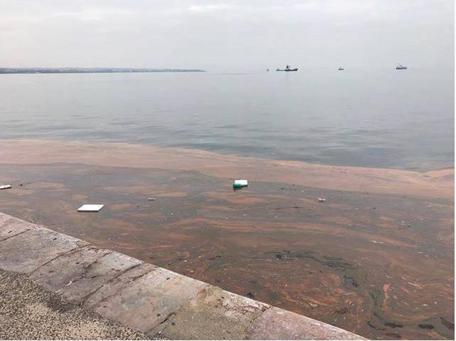 Αυτοπροσχέδιο