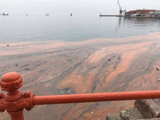 Αυτοπροσχέδιο