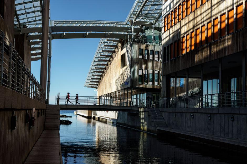 Αυτοπροσχέδιο