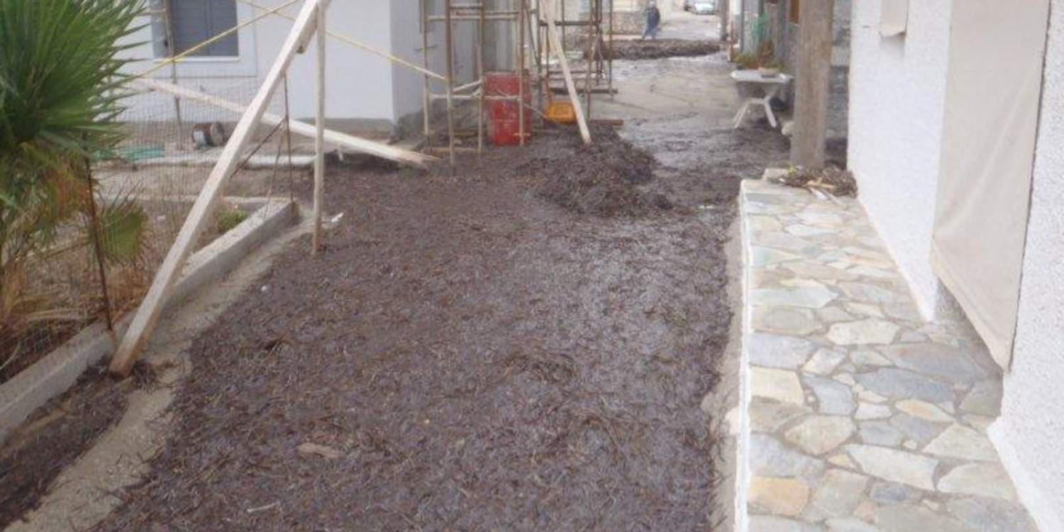 Απίστευτες εικόνες: Γέμισαν με φύκια οι δρόμοι στα Καρδάμυλα Χίου