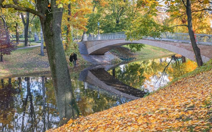 Αυτοπροσχέδιο