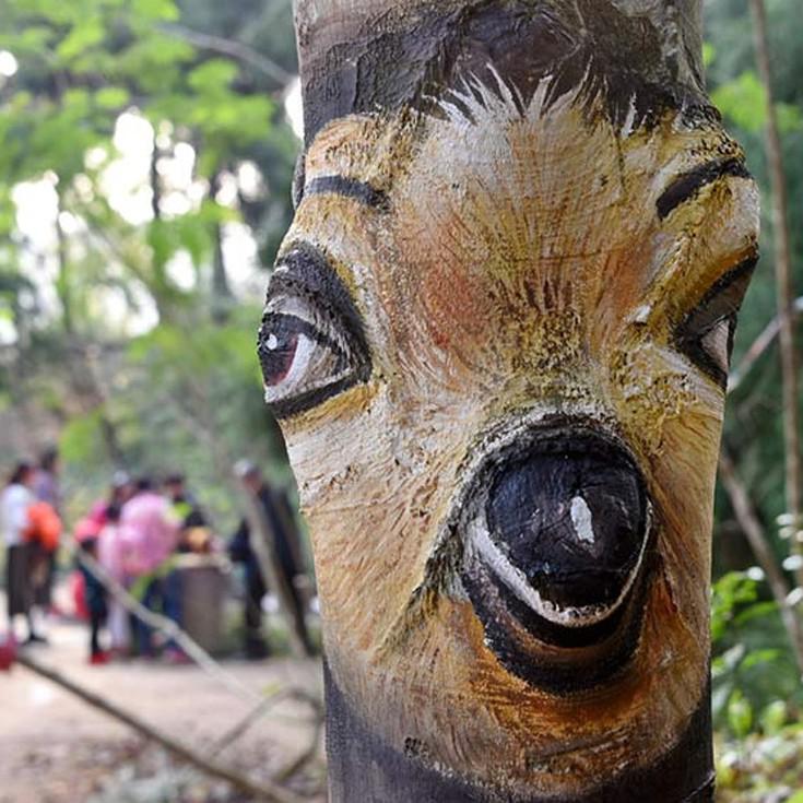 Αυτοπροσχέδιο
