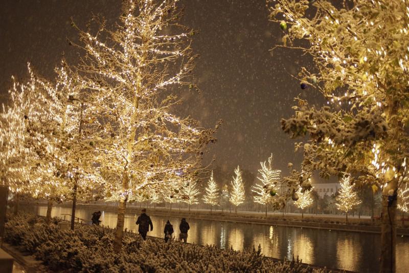 Αυτοπροσχέδιο Αυτοπροσχέδιο