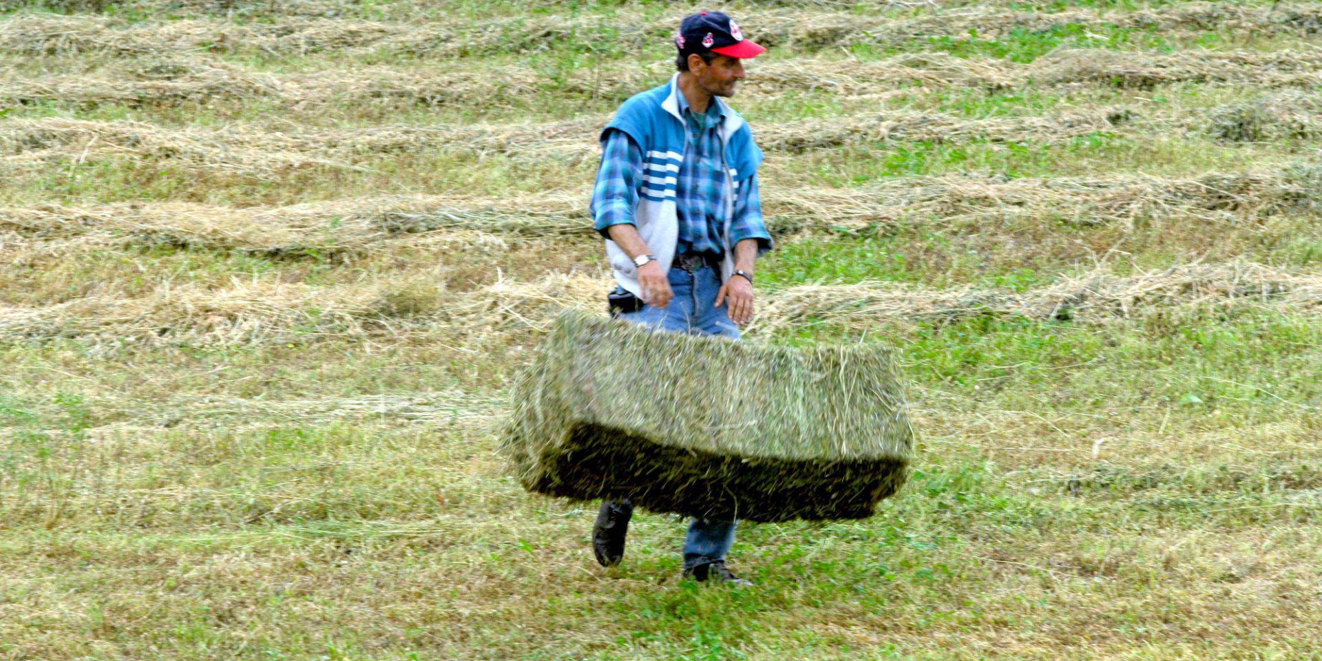 νέοι αγρότες