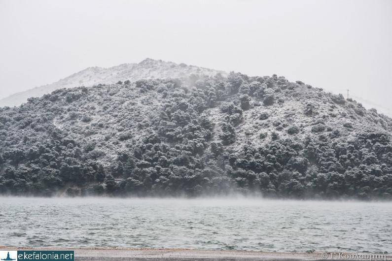 Αυτοπροσχέδιο Αυτοπροσχέδιο
