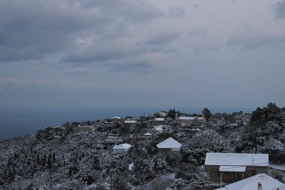 Αυτοπροσχέδιο Αυτοπροσχέδιο