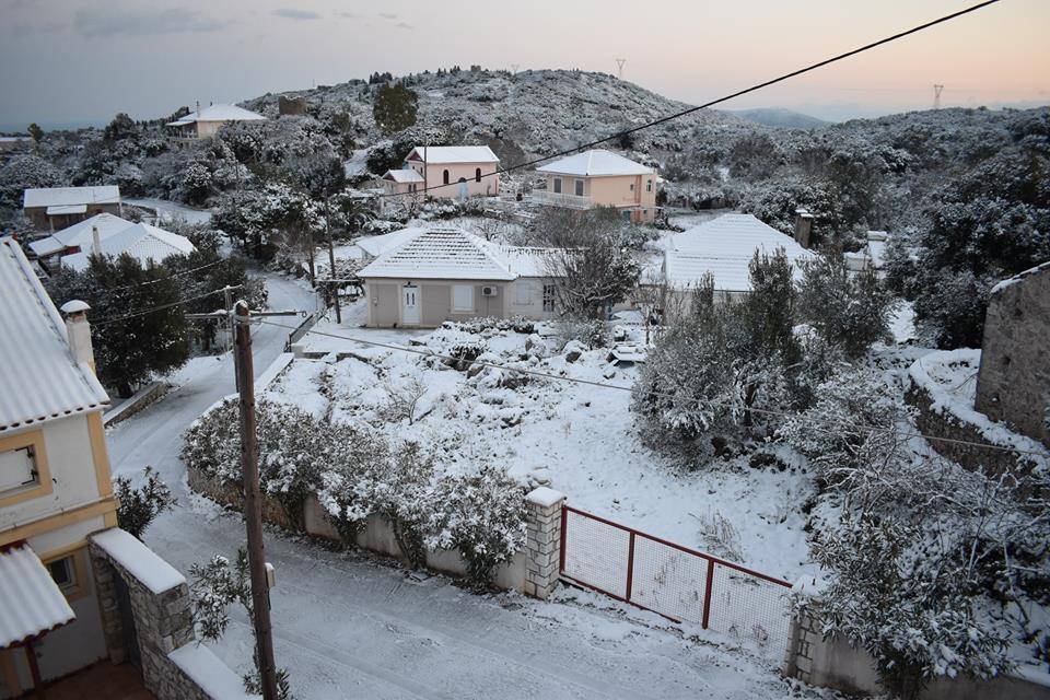 Αυτοπροσχέδιο Αυτοπροσχέδιο