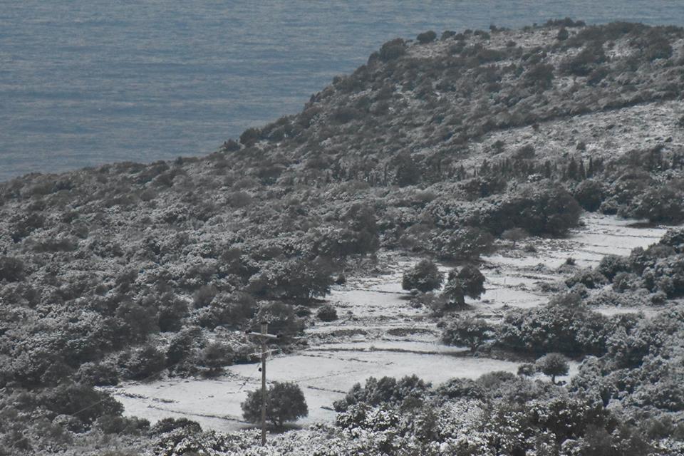 Αυτοπροσχέδιο Αυτοπροσχέδιο