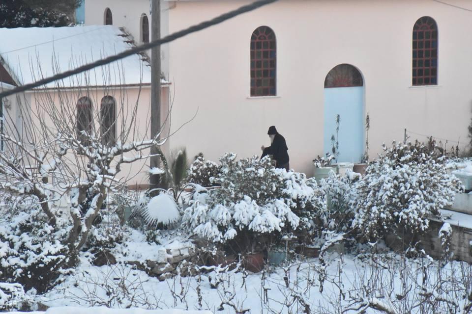 Αυτοπροσχέδιο Αυτοπροσχέδιο