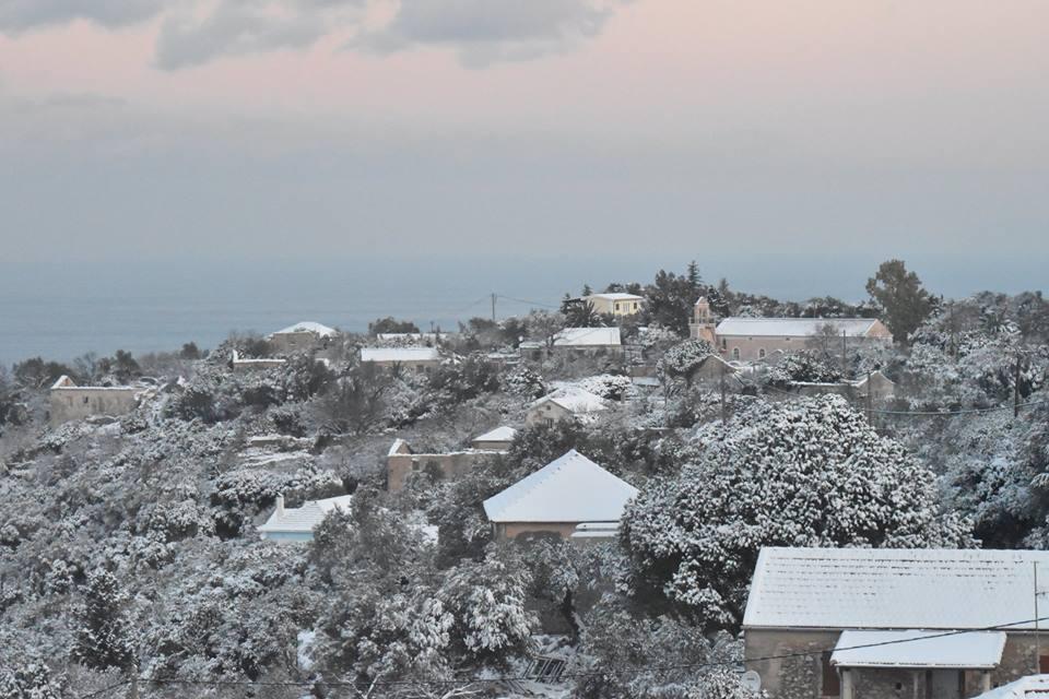 Αυτοπροσχέδιο Αυτοπροσχέδιο