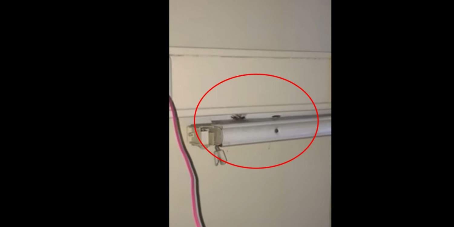 Και νέο βίντεο με κατσαρίδες σε δημόσιο νοσοκομείο – Ποια η απάντηση της ΠΟΕΔΗΝ