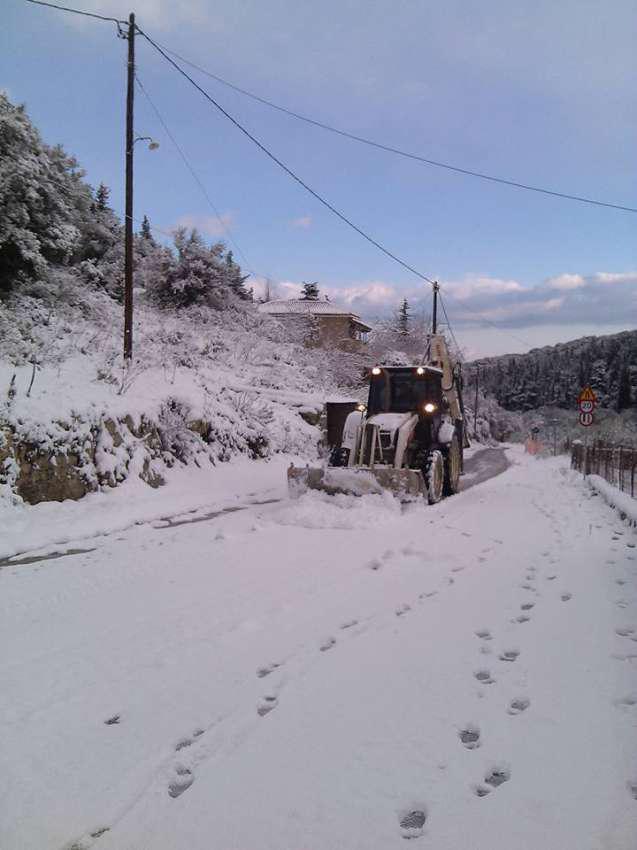 Αυτοπροσχέδιο Αυτοπροσχέδιο