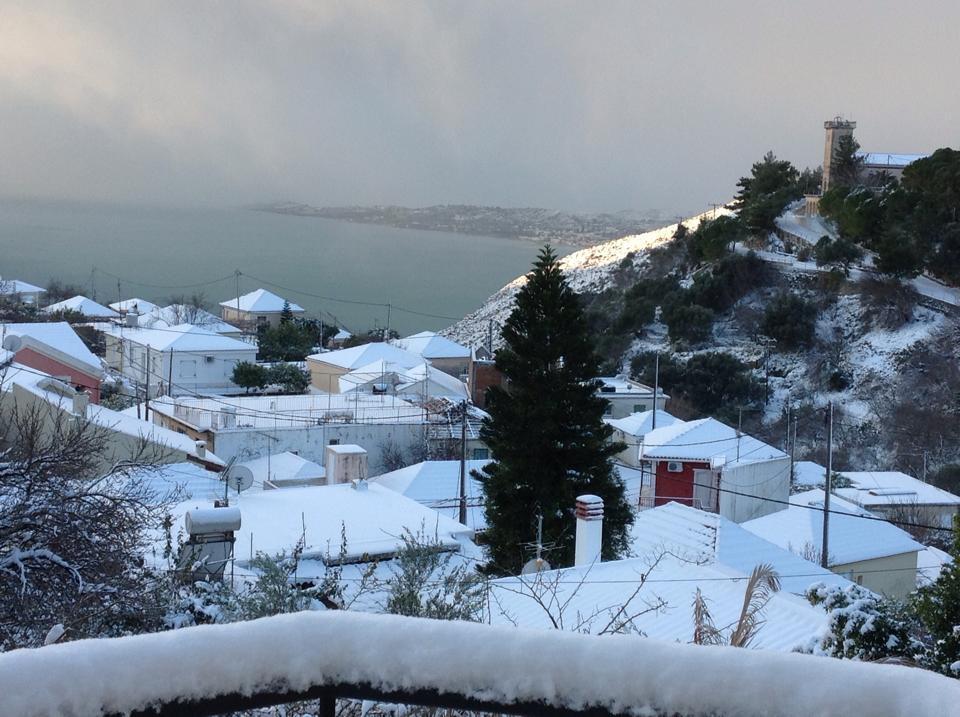 Αυτοπροσχέδιο Αυτοπροσχέδιο