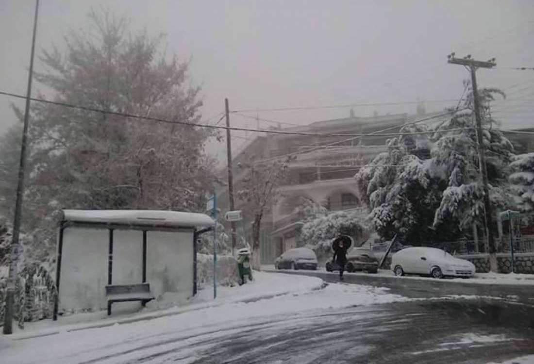 ΟΑΣΘ: Μόλις τα 130 από τα 480 λεωφορεία κυκλοφορούν αύριο