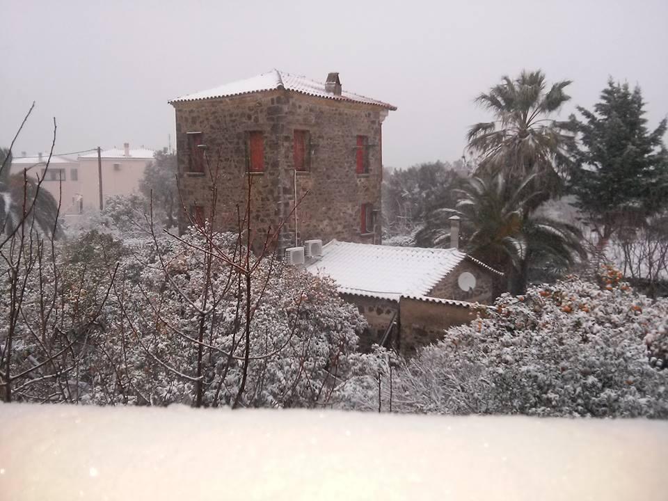 Αυτοπροσχέδιο Αυτοπροσχέδιο