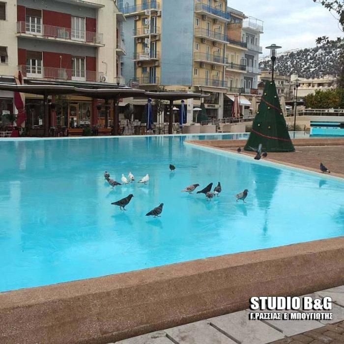 Αυτοπροσχέδιο