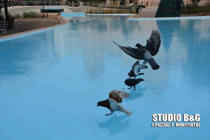 Αυτοπροσχέδιο