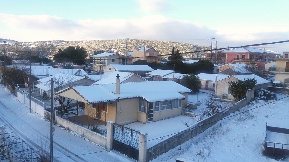 Αυτοπροσχέδιο Αυτοπροσχέδιο