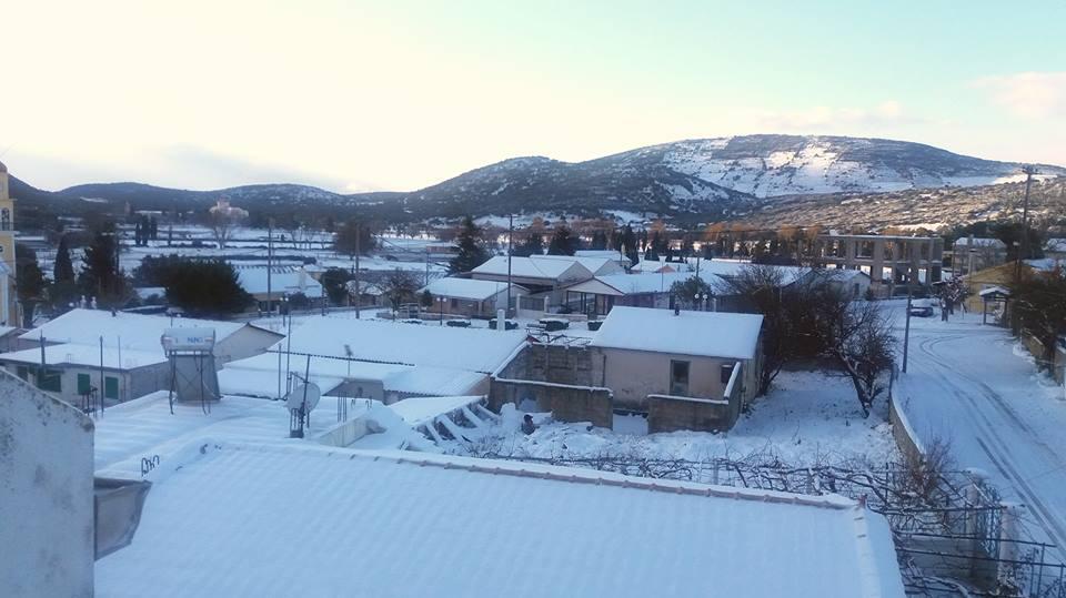 Αυτοπροσχέδιο Αυτοπροσχέδιο