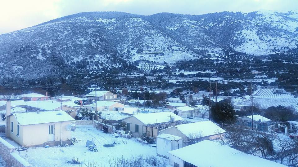 Αυτοπροσχέδιο Αυτοπροσχέδιο