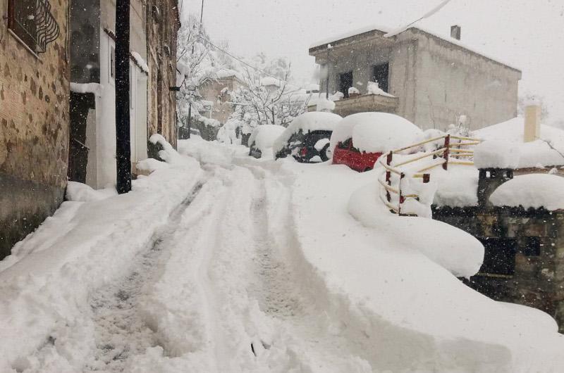 Αυτοπροσχέδιο Αυτοπροσχέδιο