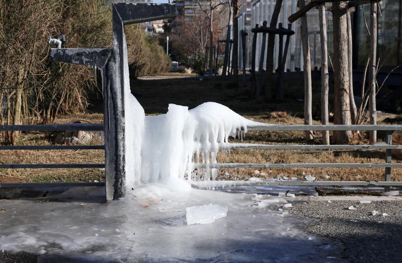 Αυτοπροσχέδιο Αυτοπροσχέδιο
