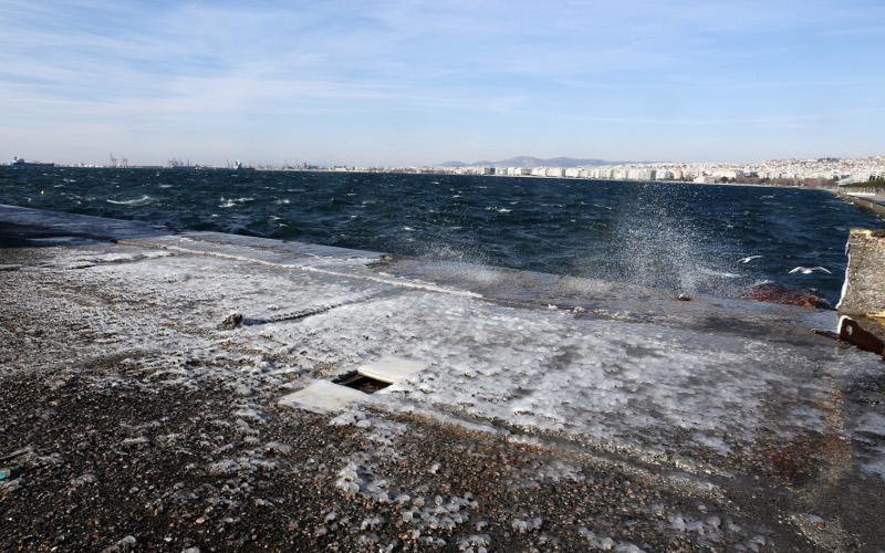 Αυτοπροσχέδιο Αυτοπροσχέδιο