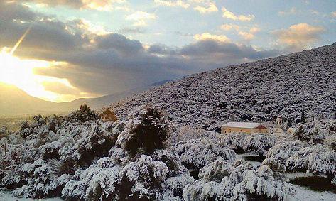 Αυτοπροσχέδιο Αυτοπροσχέδιο