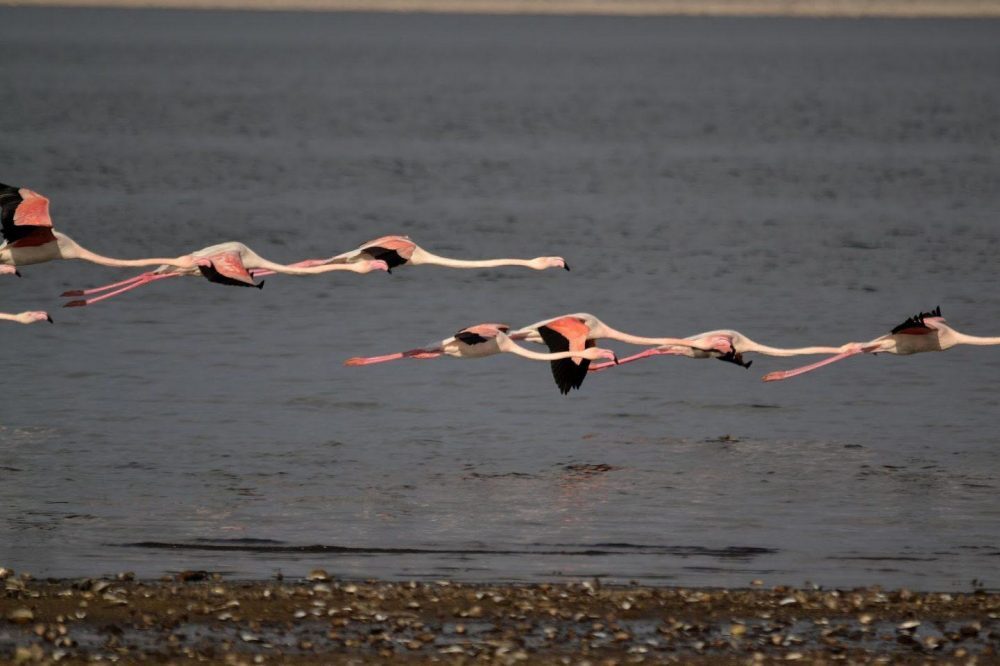 υδροβιότοποι Βόρεια Ελλάδα