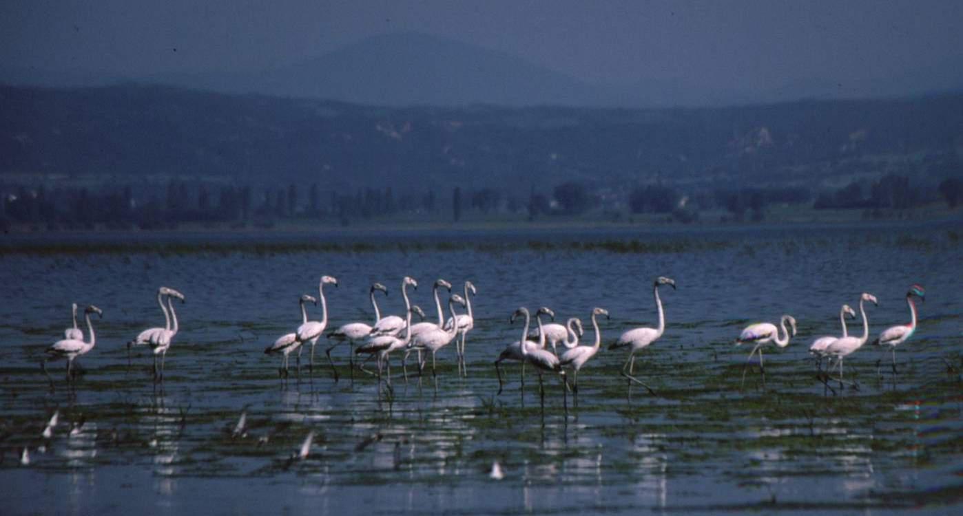 Αναγκαία η προστασία των υδάτινων οικοσυστημάτων για την τοπική ανάπτυξη