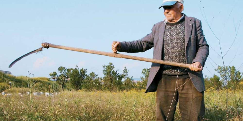 Οδηγός: Τα «μυστικά» στις αιτήσεις αγροτών για επιδοτήσεις