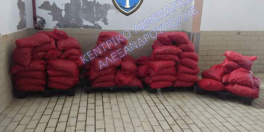 Πάνω από 2 τόνοι ακατάλληλων για κατανάλωση οστράκων κατασχέθηκαν στην Αλεξανδρούπολη