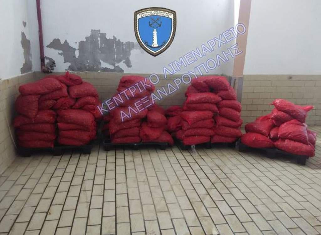Πάνω από 2 τόνοι ακατάλληλων για κατανάλωση οστράκων κατασχέθηκαν στην Αλεξανδρούπολη