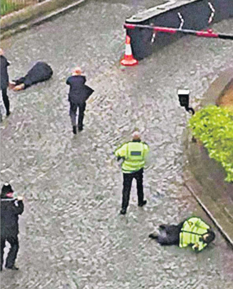 Αυτοπροσχέδιο