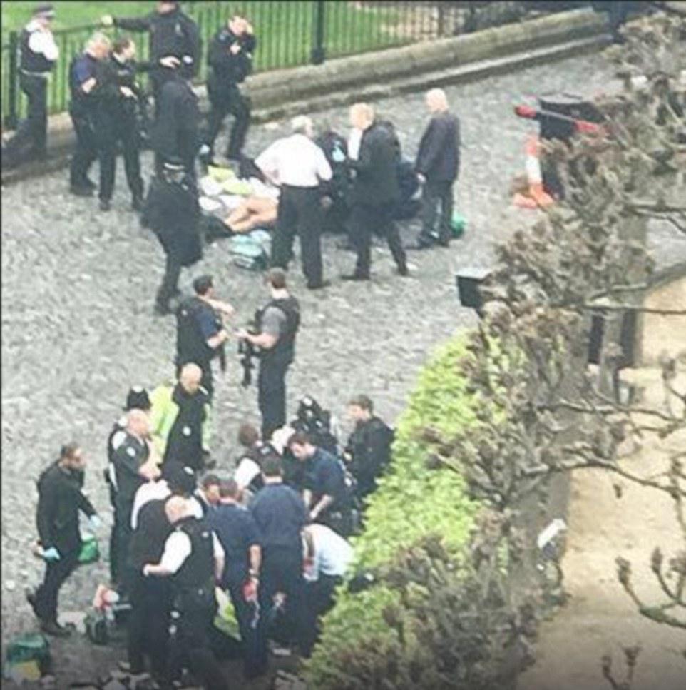 Αυτοπροσχέδιο