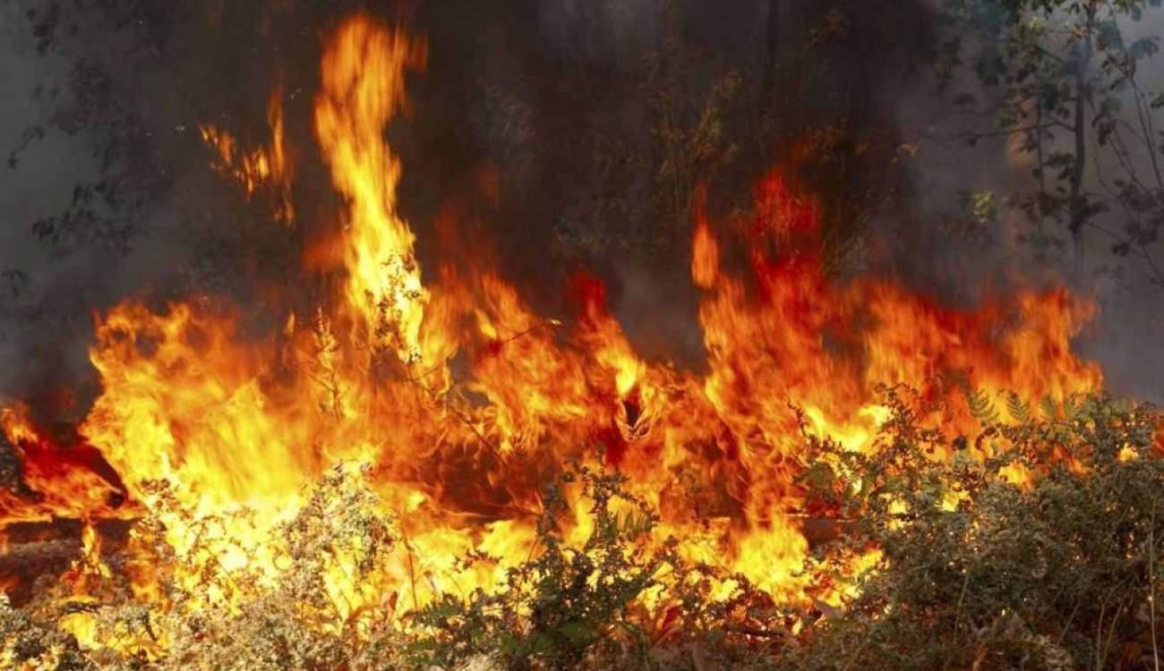 Φωτιά σε δασική περιοχή στην Κεφαλονιά