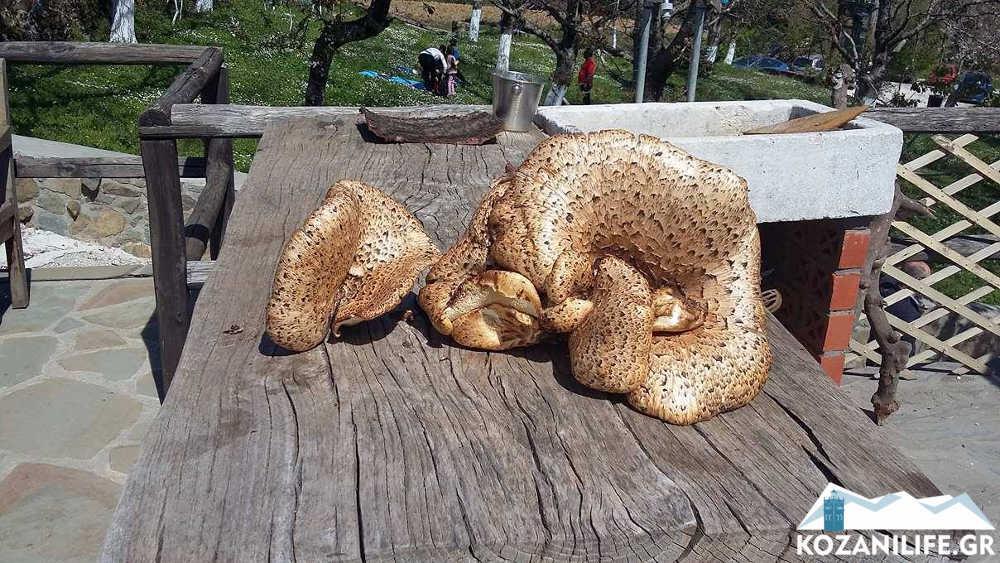 Αυτοπροσχέδιο