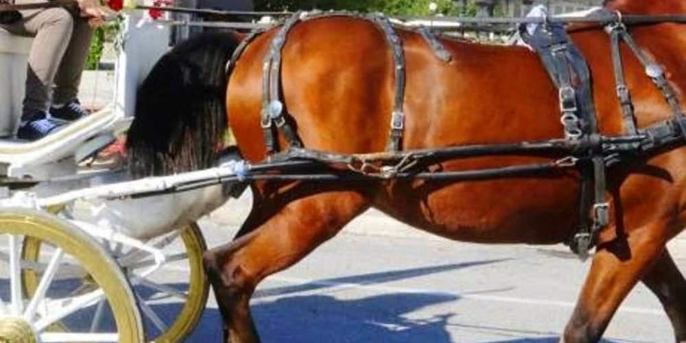 Απίστευτο ατύχημα στο κέντρο της Αθήνας: Αμαξα συγκρούστηκε με ταξί [εικόνες]