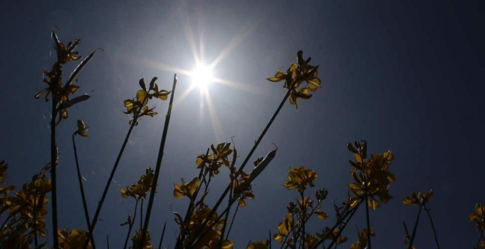 Καιρός: Μποφόρ και άνοδος της θερμοκρασίας σήμερα