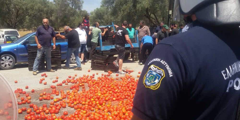 Με ντομάτες υποδέχθηκαν τον αναπληρωτή υπουργό Αγροτικής Ανάπτυξης Γιάννη Τσιρώνη οι Κρητικοί αγρότες [εικόνες]