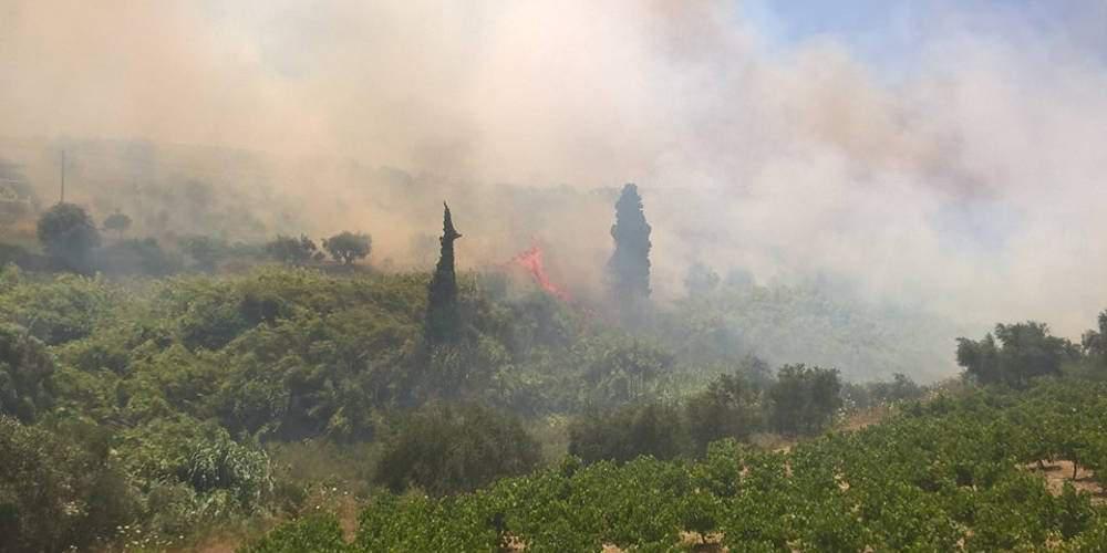 Μεγάλη φωτιά σε εξέλιξη κοντά σε σπίτια στην Κορώνη [εικόνες]