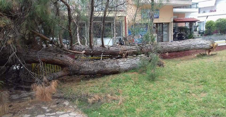 Καταστροφές από το πέρασμα της «Μέδουσας» σε όλη την Ελλάδα [εικόνες & βίντεο]