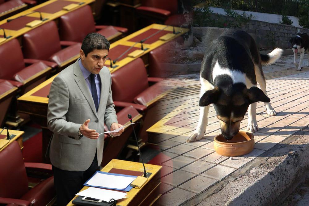 Κύριε Αυγενάκη, άλλο πράγμα η ευθανασία αδεσπότων και άλλο η δολοφονία