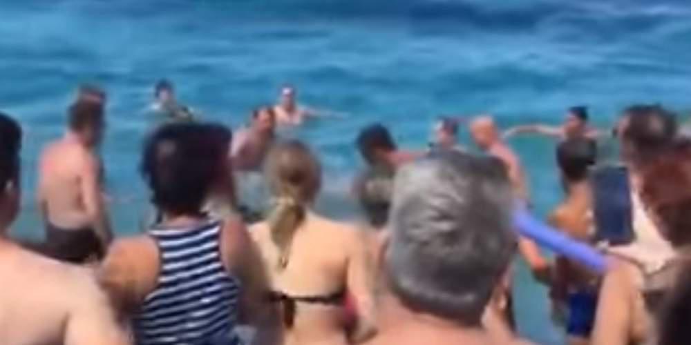 Ευχάριστη αναστάτωση στην Σκόπελο από δελφίνι που βγήκε στην στεριά [βίντεο]