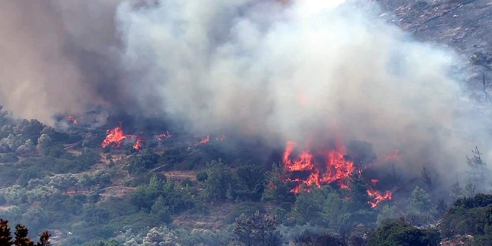 Πυρκαγιά ξέσπασε στη Νέα Καρβάλη Καβάλας
