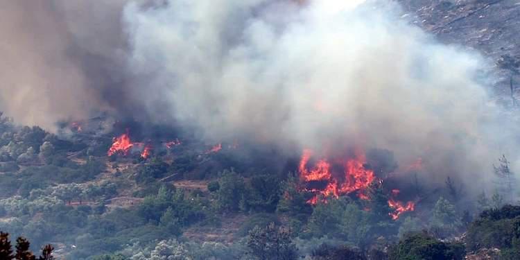 Υπό έλεγχο η πυρκαγιά στα Κοτσύλια Βοιωτίας κοντά στη Λίμνη Υλίκη